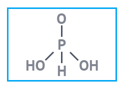 Фосфористая кислота