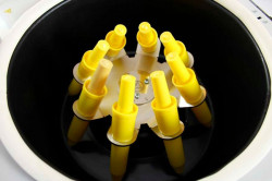 Центрифуга молочная ЦЛМН 1-8 с подогревом БЮДЖЕТ (на 8 бутир  +65 °C) Tagler