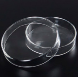 Чашка Петри, диаметр 150 мм, стекло 
