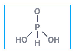 Фосфористая кислота имп. (ортофосфористая кислота), фасовка 25 кг