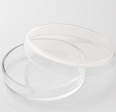 Чашка Петри, 100 мм, полистирол, стерильная (упаковка 10 шт.)